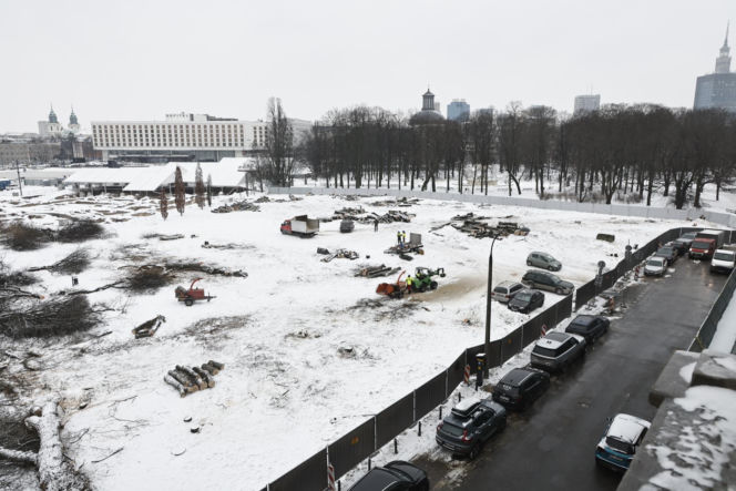 Rzeź drzew w parku w centrum Warszawy. Przygnębiający widok przed odbudową Pałacu Saskiego