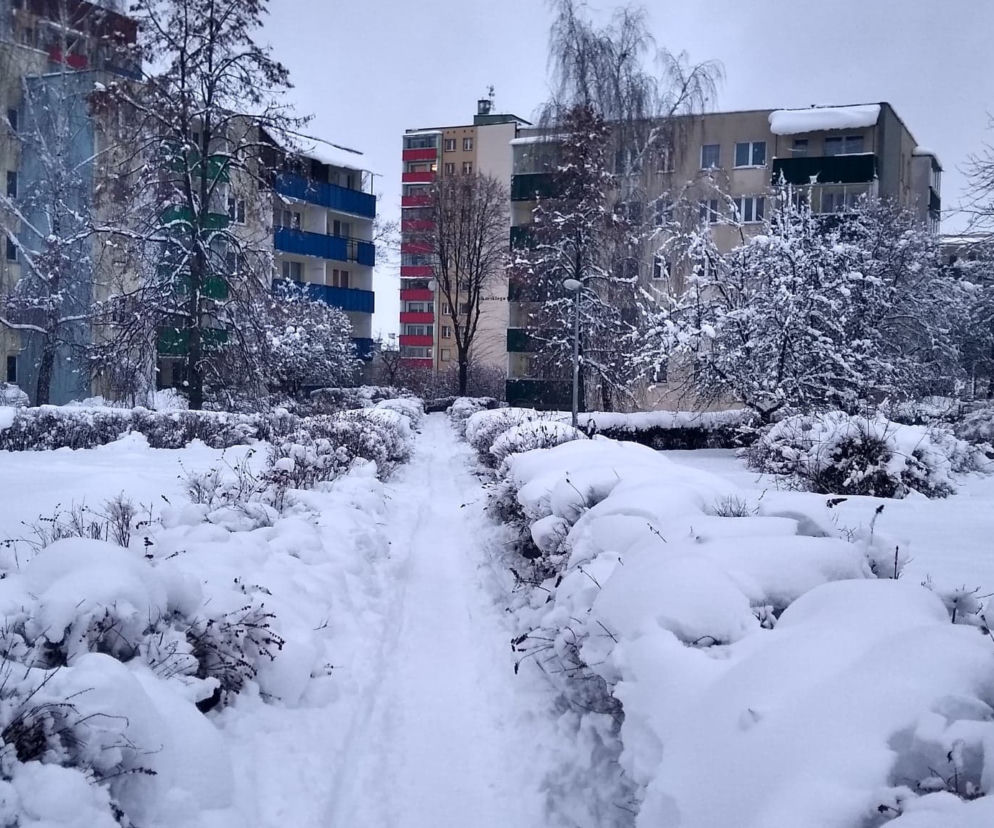 Najgorsze dopiero przed nami? Czekają nas dwie fale MROZU. Niedaleko Białegostoku ma być -28 st. C