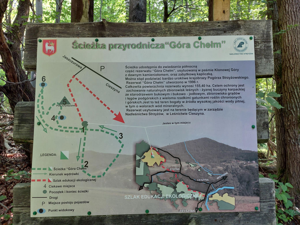 Góra Chełm w powiecie strzyżowskim na Podkarpaciu [GALERIA]