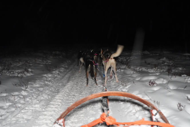 Wyjazd VOX FM do Laponii