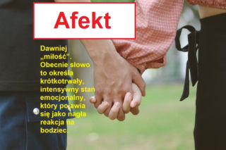 Język żyje — zmienia go historia, migracje, zapożyczenia z innych języków, a nawet technologia