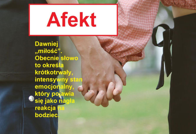 Język żyje — zmienia go historia, migracje, zapożyczenia z innych języków, a nawet technologia