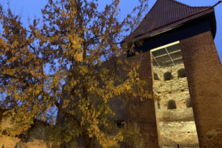 Baszta Gotycka w Lublinie odzyskała dawny blask [GALERIA]