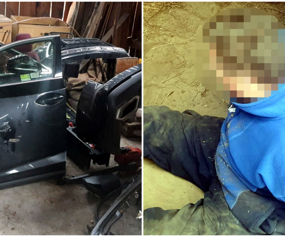 Miłośnicy lexusów zatrzymani. Nalot policji na dziuplę pod Warszawą