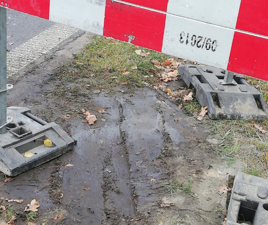 Warszawa. Bóbr wykopał norę przy jezdni! Droga groziła osunięciem