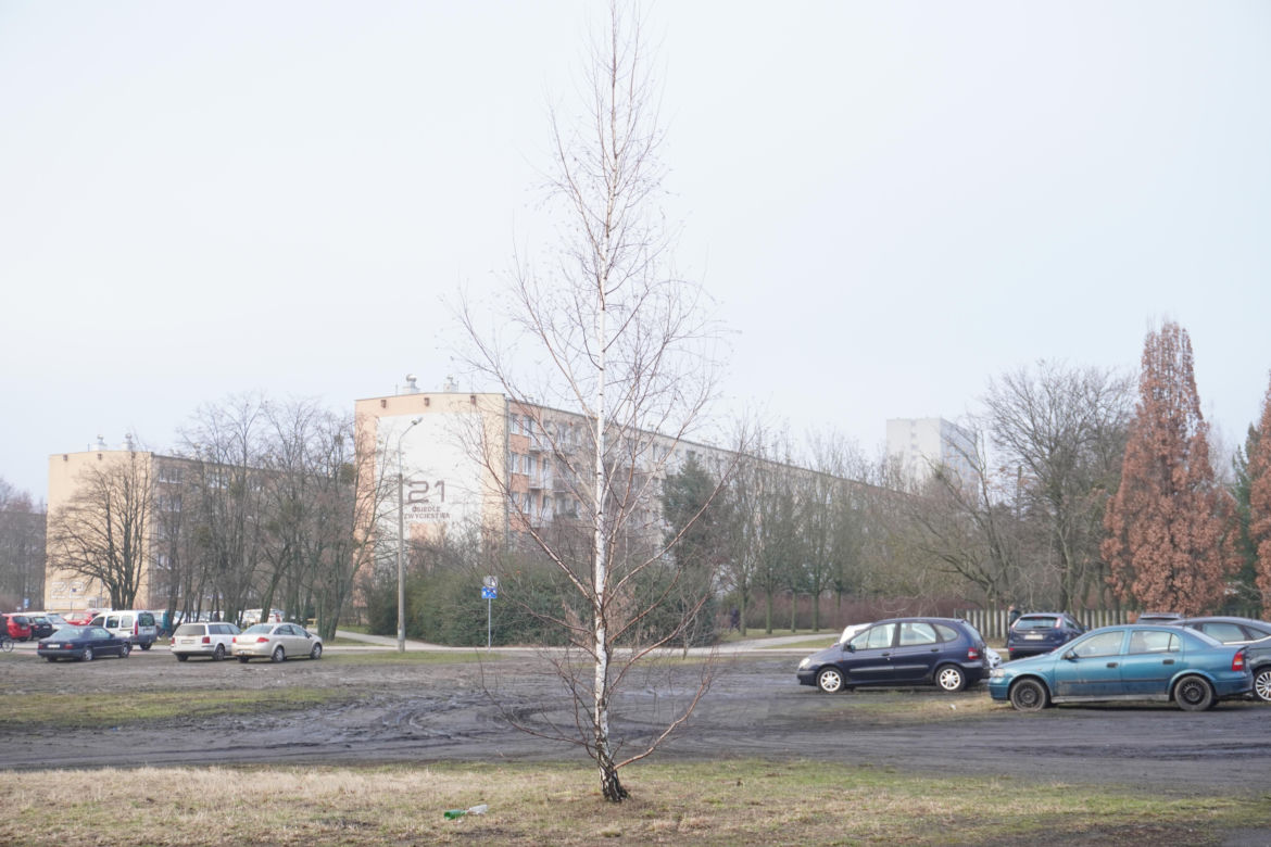 Tutaj powstanie Park Barwy i Wody