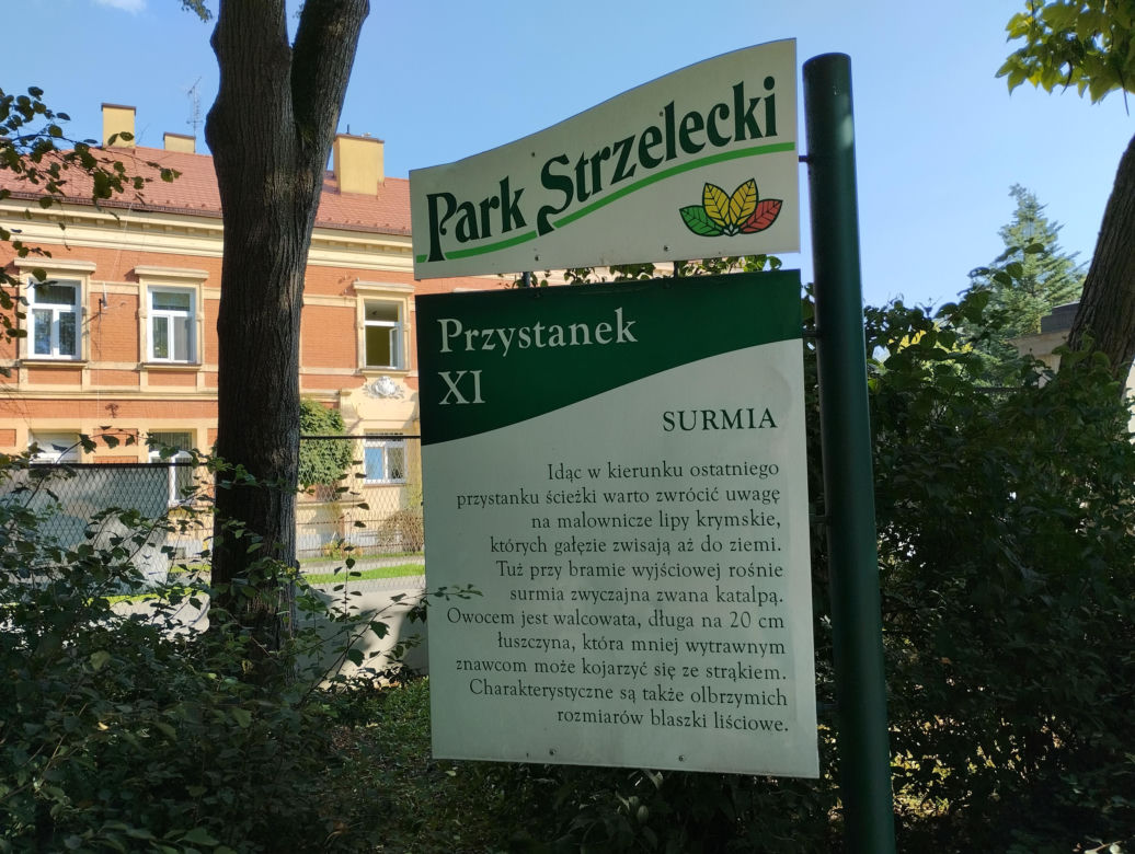 Pomniki przyrody w Parku Strzeleckim w Tarnowie