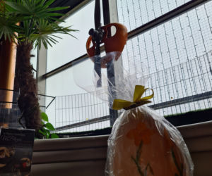  Wielkanocne cuda z czekolady w Pijalni Czekolady  w Rzeszowie [GALERIA]