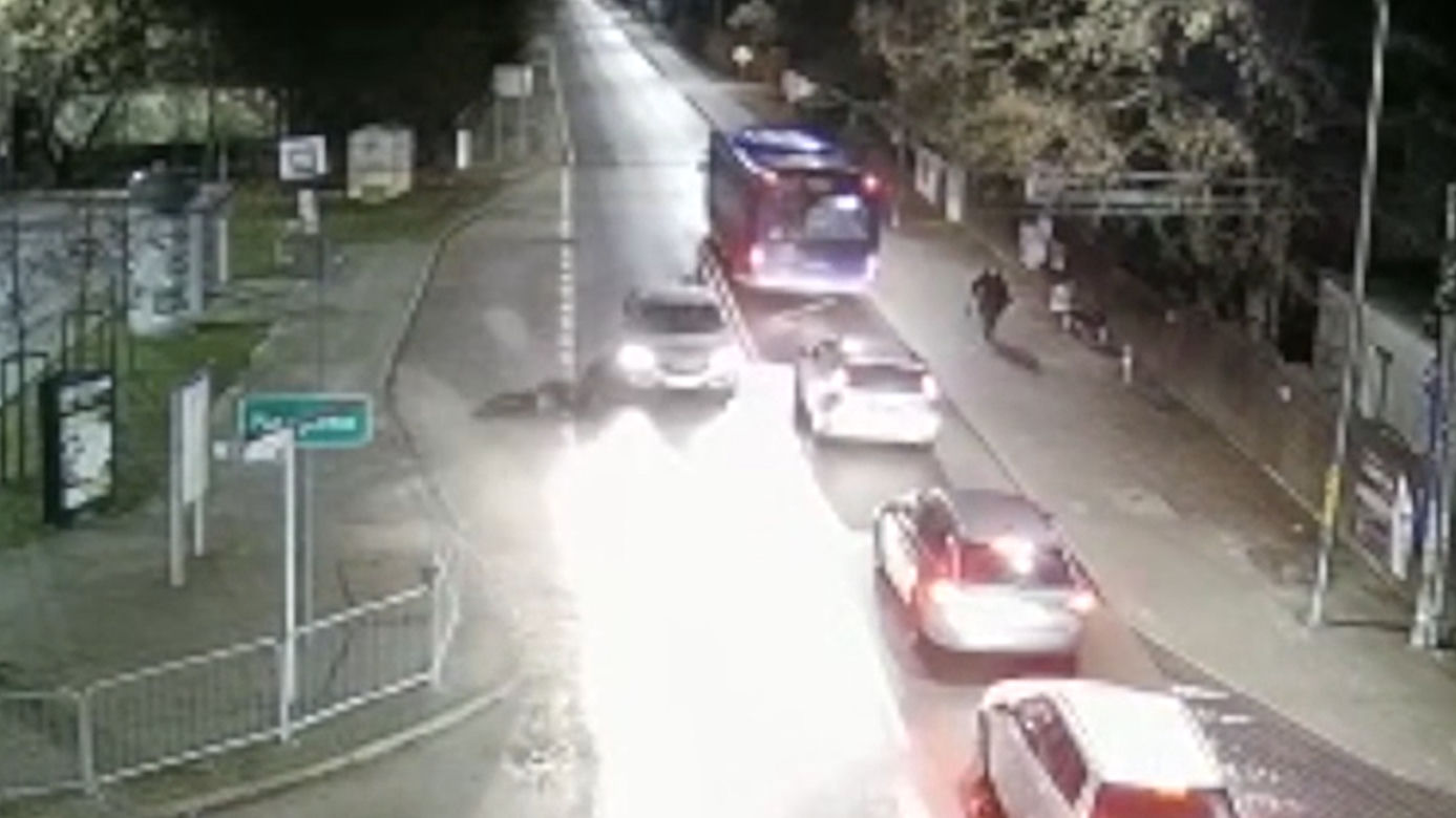Chłopiec wbiegł zza autobusu prosto pod samochód. Dramatyczne nagranie z Piaseczna