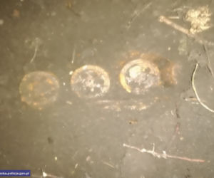 Ponad 40 skrzyń sprzed kilkudziesięciu znalezionych w lesie na Dolnym Śląsku