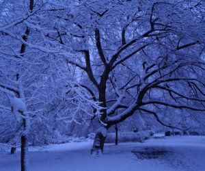  Kalisz. Droga zima? Pierwsze opady śniegu i pierwsze wysokie koszty za odśnieżanie 