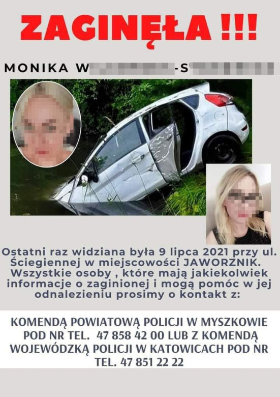 Zatłukł Monikę młotkiem i zakopał na działce