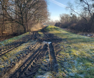 Wały pod Wrocławiem niszczone.  Wody Polskie alarmują o zagrożeniu