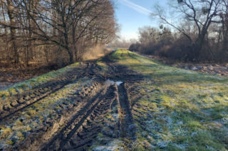 Wały pod Wrocławiem niszczone.  Wody Polskie alarmują o zagrożeniu