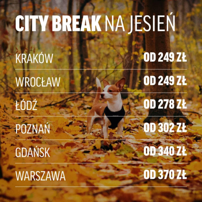 Koniec wakacji nie kończy sezonu wyjazdowego. Jesienią nocleg nad morzem zarezerwujesz już od 189 zł