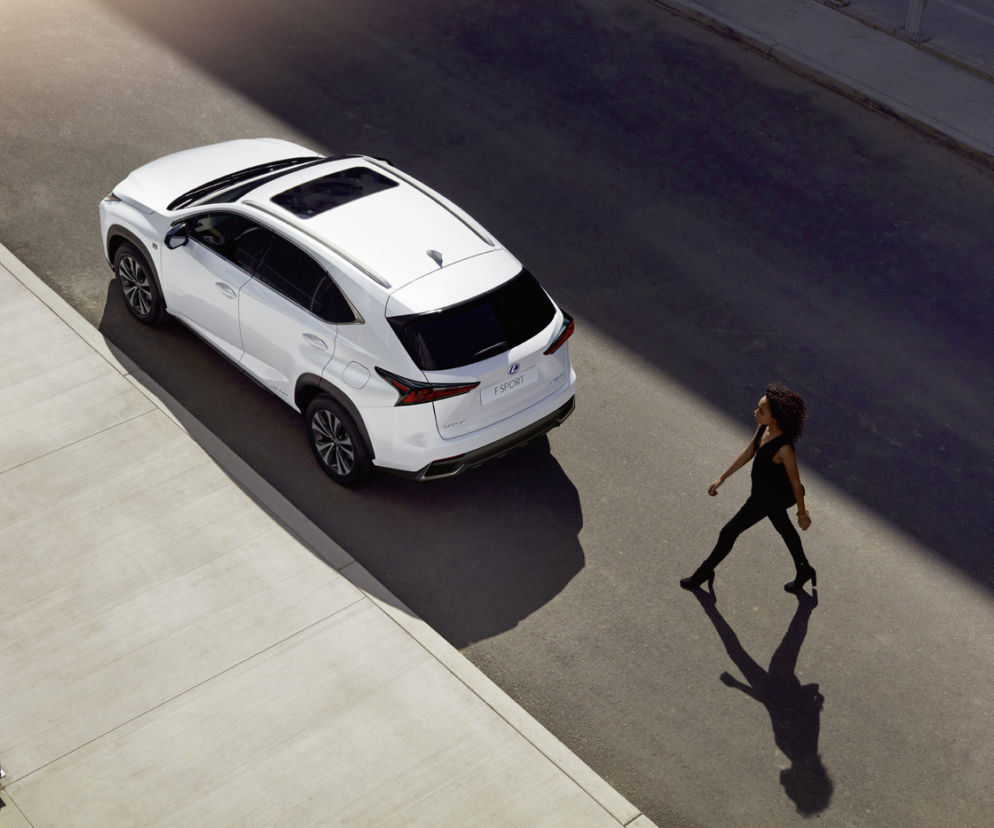 Lexus NX lifting 2018