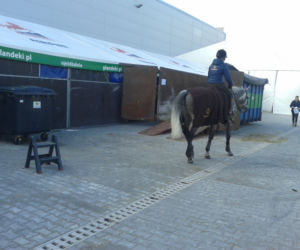 Cavaliada w Lublinie