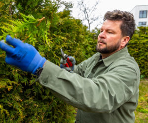 Wiosenne porządki w ogrodzie