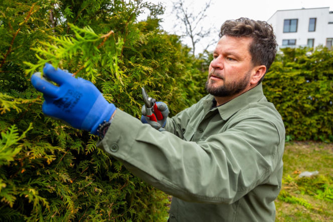 Wiosenne porządki w ogrodzie