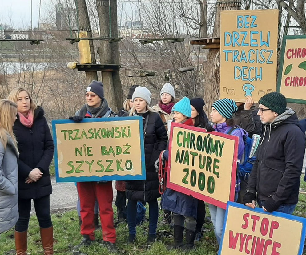 Protest przeciwko wycince drzew