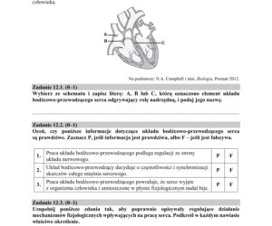 Matura 2018 z biologii [ARKUSZE CKE, ODPOWIEDZI]