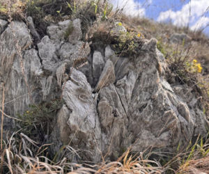 Jaskinia Skorocicka. Najdłuższa gipsowa jaskinia w Polsce 