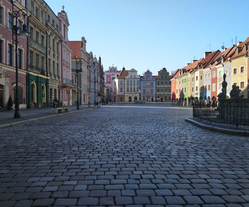 Czy poznaniacy stosują się do zakazów? Zaskakujące dane Straży Miejskiej! [ZDJĘCIA]