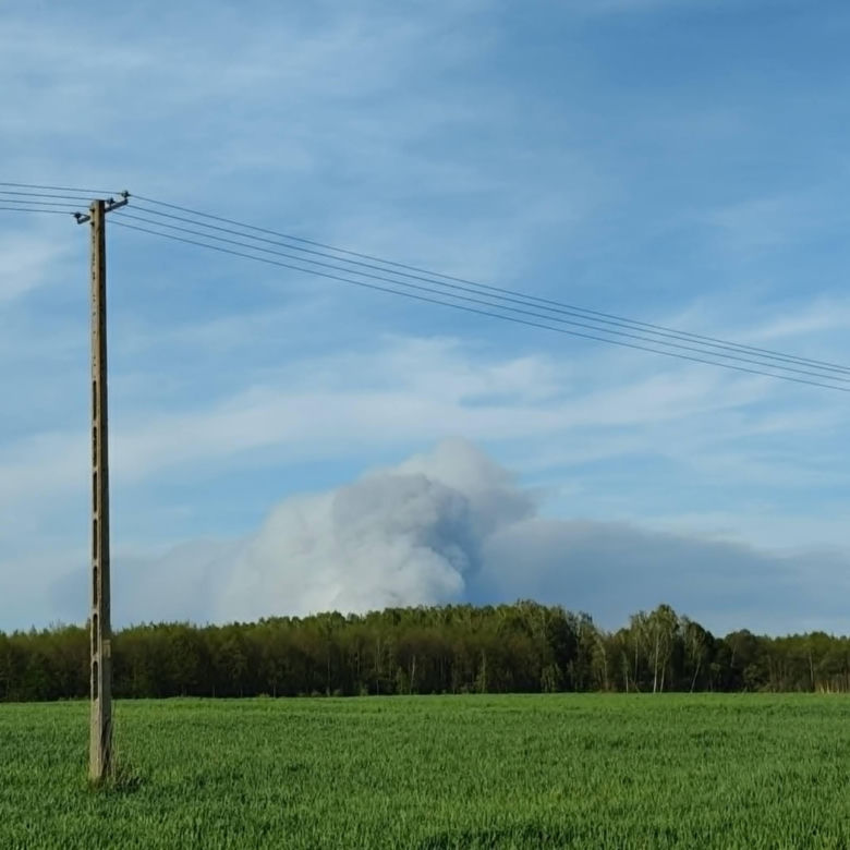 Pożar lasu koło Biłgoraja