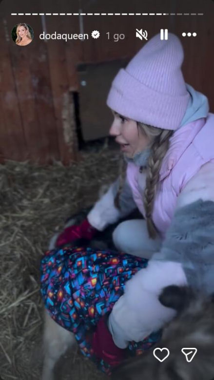Koniec heroizmu Dody? Artystka mówi dość po dramatycznych wizytach w schroniskach