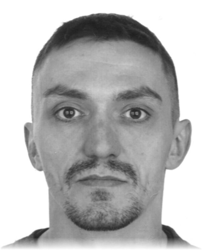 Sebastian Pędziwilk