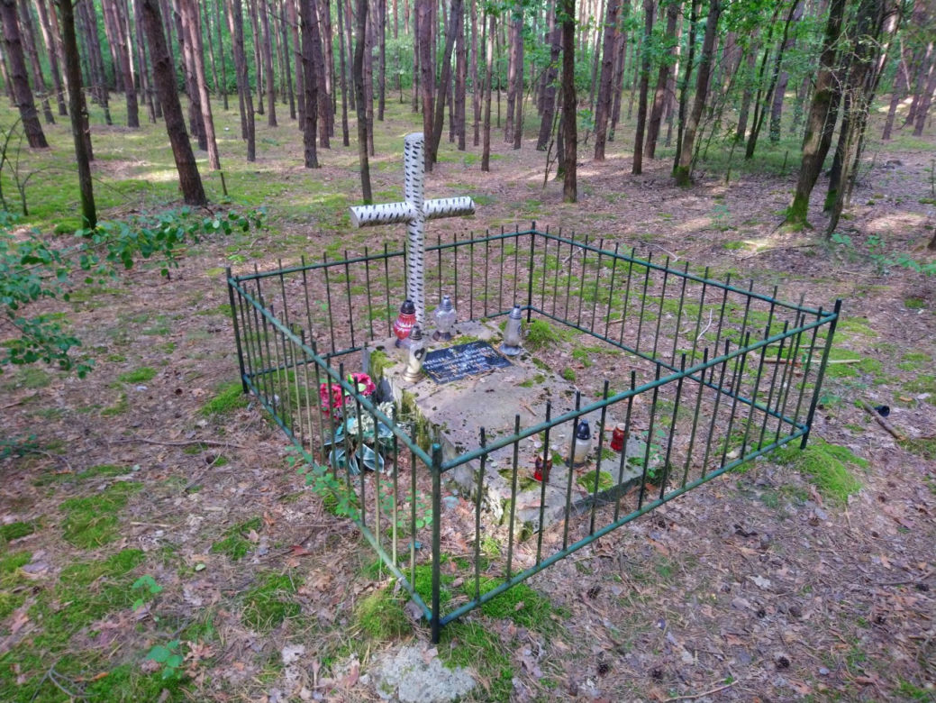 Gmina Sieniawa sprzedała las z historyczną mogiłą [ZDJĘCIA]
