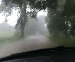 Nawałnica przeszła przez Tleń! Potężna ulewa zmierza w stronę Bydgoszczy [ZDJĘCIA]