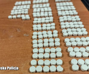 Lubuska policja rozbiła gang narkotykowy