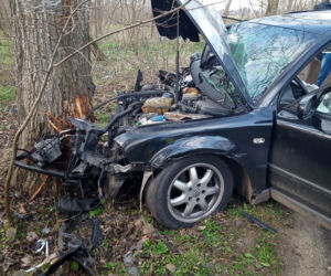 Płock: FATALNIE wyglądający wypadek! Uderzył w drzewo!