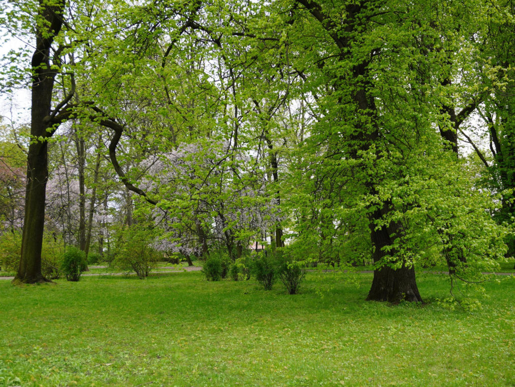 Park Bronowice wiosną 2024