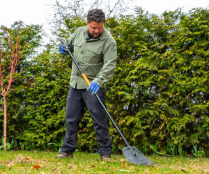 Wiosenne porządki w ogrodzie