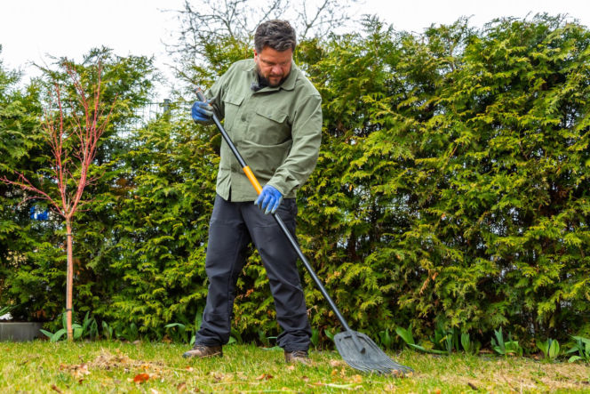 Wiosenne porządki w ogrodzie