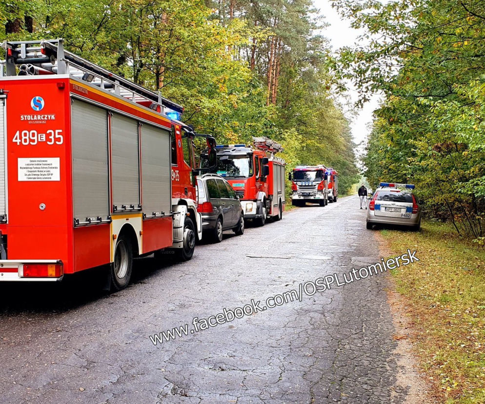 Tragedia na grzybobraniu