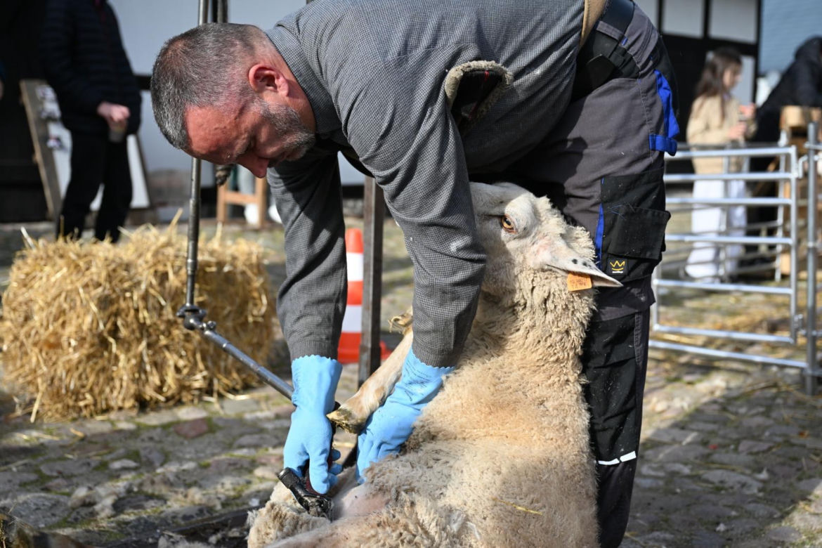 IV Jamneńskie Zakończenie Sezonu Pasterskiego
