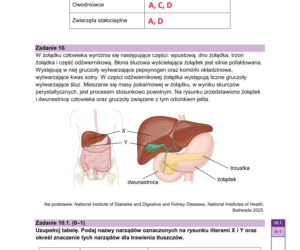 Matura próbna 2026 - biologia. Wszystkie odpowiedzi do arkusza CKE z biologii 14.01.2026