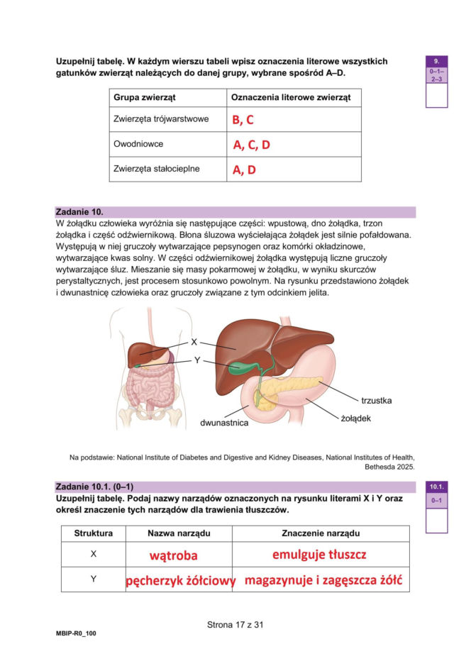 Matura próbna 2026 - biologia. Wszystkie odpowiedzi do arkusza CKE z biologii 14.01.2026