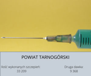 Koronawirus Śląskie. W tych powiatach zaszczepiono najwięcej osób [GALERIA] 