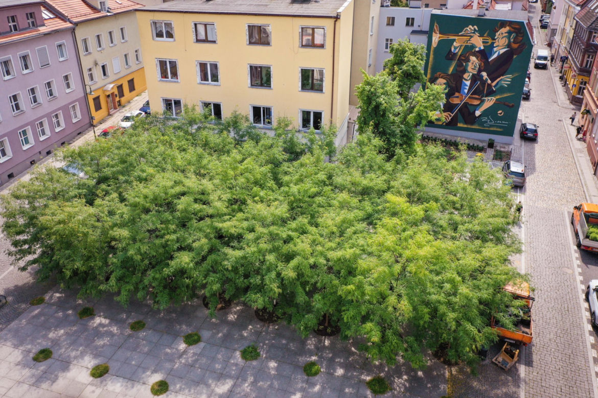 Muzyczne murale w Opolu – Zbigniew Wodecki (5)