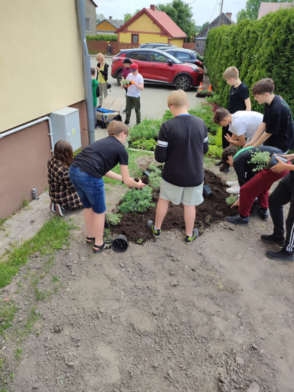 Ogród wertykalny w Kamionce