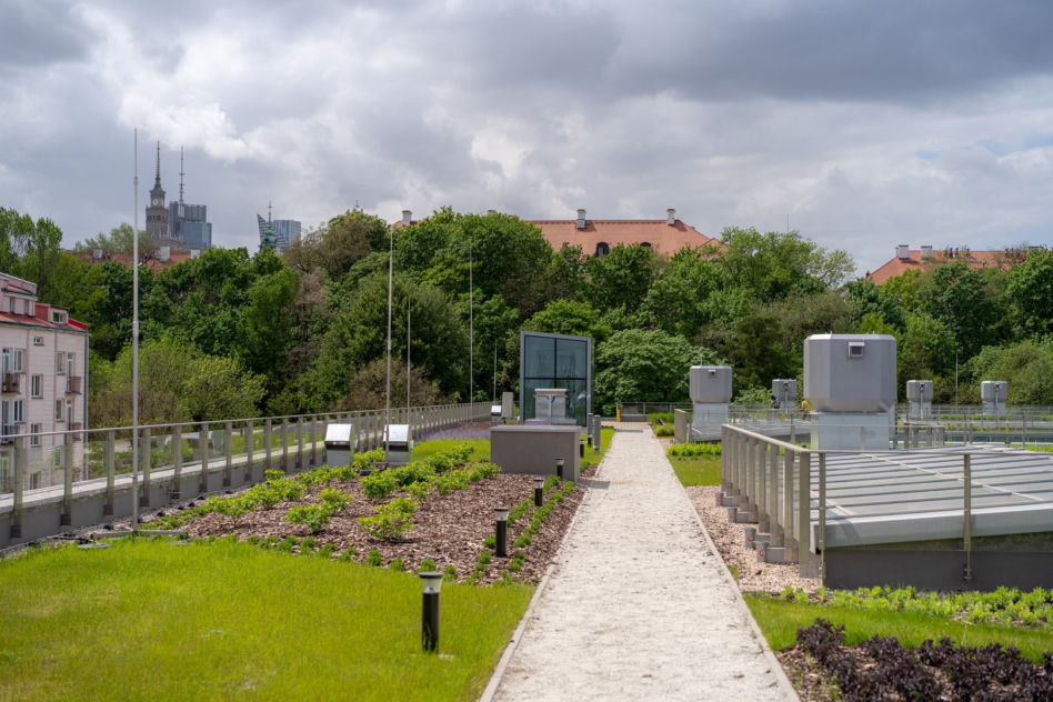 Nowy budynek Neofilologii i Lingwistyki projektu Kuryłowicz & Associates: mamy pierwsze zdjęcia