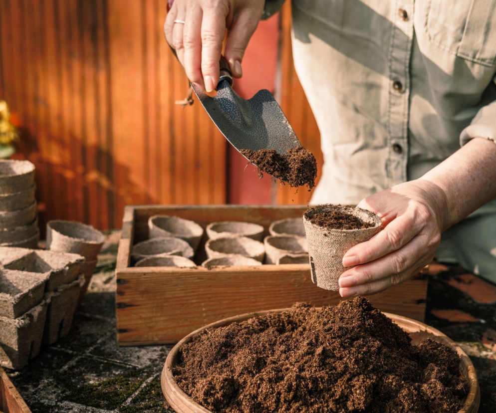 Przygotowanie rozsady roslin