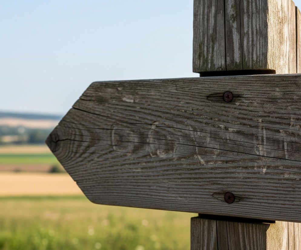 Na pierwszym planie, z prawej strony, znajduje się drewniany słupek z przymocowaną do niego drewnianą strzałką wskazującą w lewo. Strzałka i słupek są w kolorze szaro-brązowym, z widocznymi słojami drewna i drobnymi pęknięciami, oraz dwoma rdzawymi wkrętami mocującymi strzałkę. Tło jest rozmyte, przedstawia krajobraz z polami uprawnymi w odcieniach zieleni i żółci, a nad nimi jaśnieje błękitne niebo.