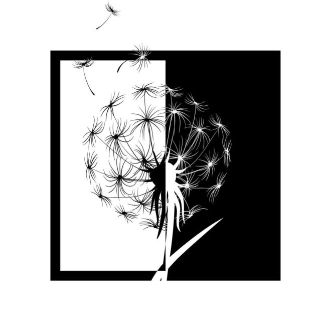 Wydawnictwo Niezwykłe