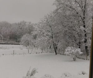 Na Podkarpaciu zrobiło się biało