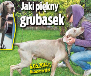 Jaki piękny grubasek